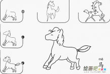 马怎么画简笔画图片