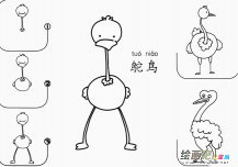 鸵鸟怎么画简笔画图片