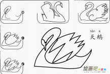 天鹅怎么画简笔画图片