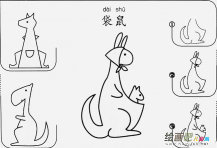 袋鼠怎么画简笔画图片
