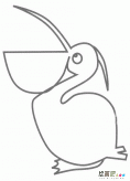 鹈鹕简笔画图片大全