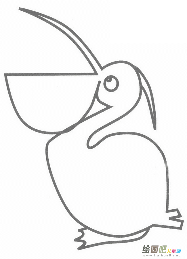 鹈鹕简笔画