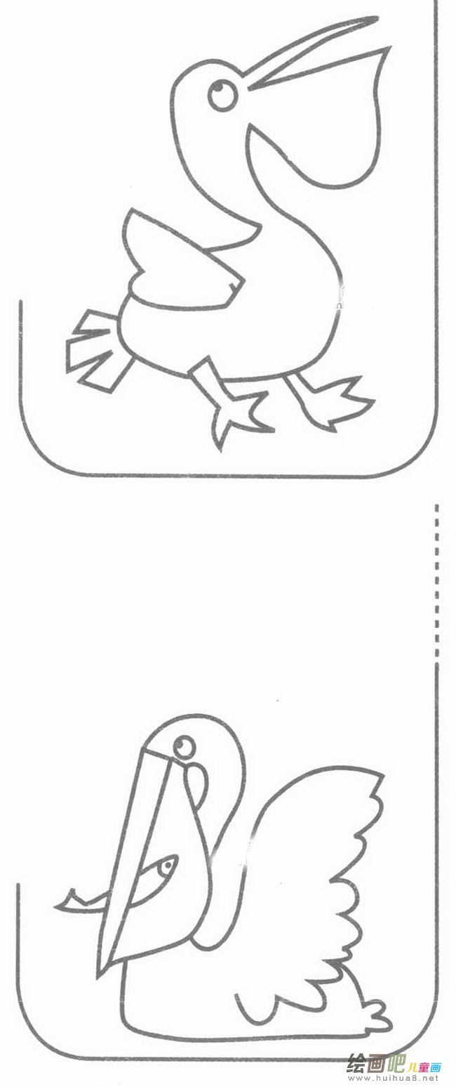 鹈鹕简笔画