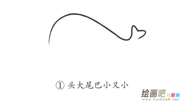 彩色鲸鱼简笔画图片