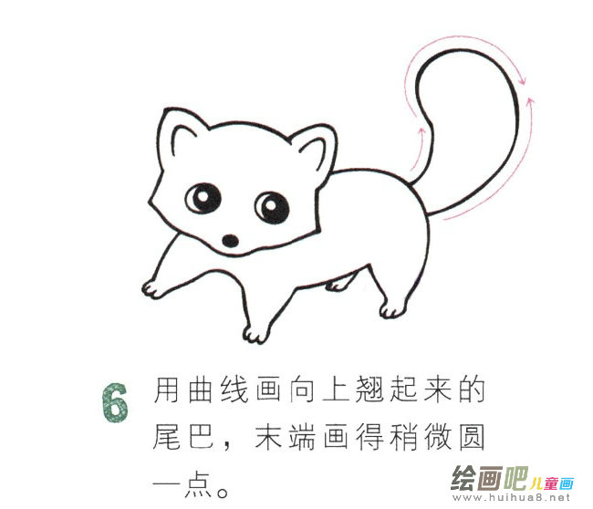 小浣熊动物简笔画图片