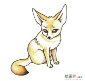狐狸简笔画的画法步骤图教程