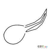 蝌蚪简笔画的画法步骤图