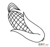 儿童玉米简笔画怎么画图片