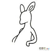 卡通袋鼠简笔画的画法步骤图