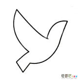 鸽子简笔画的画法步骤
