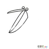 鹈鹕简笔画的画法步骤