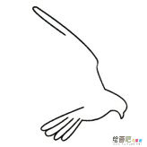 鹰简笔画的画法步骤