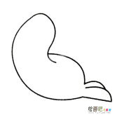 海豹简笔画的画法步骤