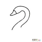 天鹅简笔画的画法步骤