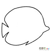 热带鱼简笔画的画法步骤