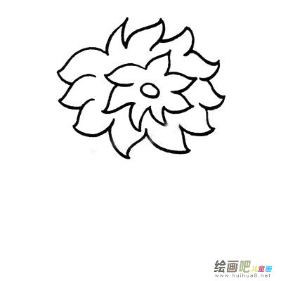 海葵简笔画