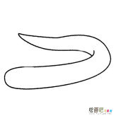 电鳗简笔画的画法步骤教程