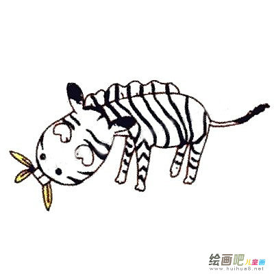 斑马简笔画彩色图片