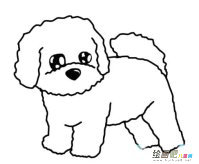 可爱比熊犬简笔画图片
