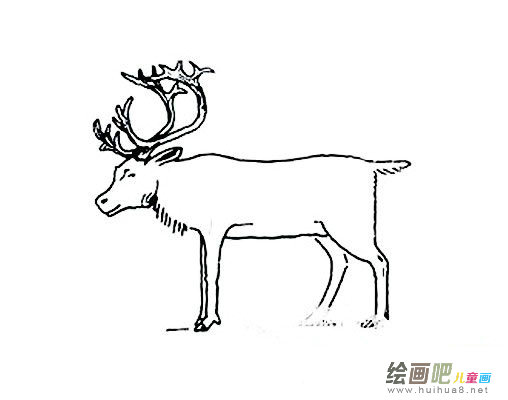 马鹿怎么画，简笔画马鹿的画法