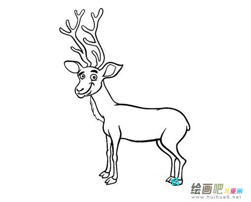 马鹿怎么画，简笔画马鹿的画法