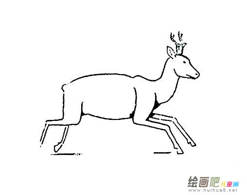 马鹿怎么画，简笔画马鹿的画法