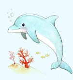 可爱的小海豚海底世界儿