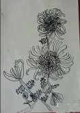 秋天的菊花儿童画