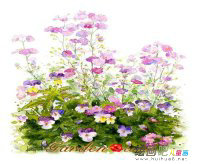 水粉画：水粉静物写生