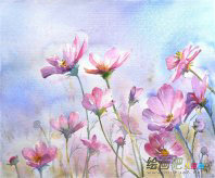 水粉画：水粉着色