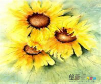 水粉画：调色