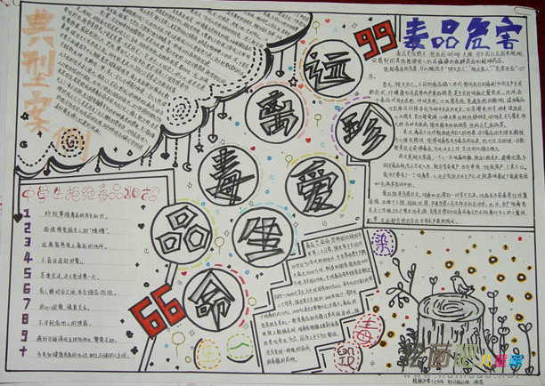 禁毒手抄报