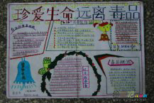 禁毒手抄报：发现吸毒者
