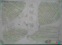 植树节手抄报：近年植树节的主题