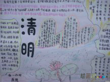 清明节手抄报：清明习俗之插柳