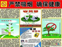 世界无烟日手抄报：手抄报内容青少年危害