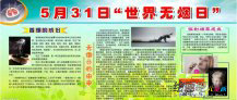 世界无烟日手抄报：内容吸烟与宫外孕