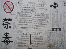 禁毒手抄报：禁毒的发展