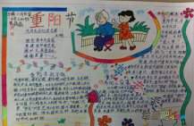 重阳节手抄报：为什么要插茱萸