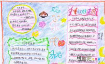 中秋节手抄报：月儿渐圆，情儿渐浓