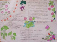 防溺水手抄报图片：溺水时的救护方法