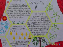 读书手抄报：书中丰富的世界