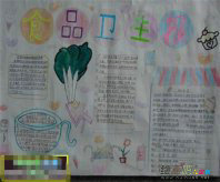 食品安全手抄报：安全心得作文