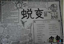 军训手抄报：掉皮掉肉不掉队，流血流汗不流泪