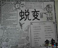 军训手抄报：关于军训的手抄报