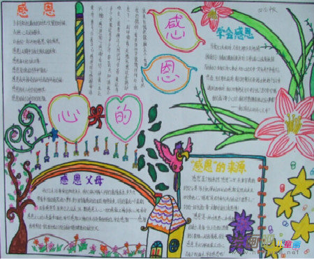 感恩节