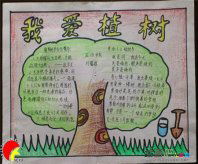 植树节手抄报：小动物们植树