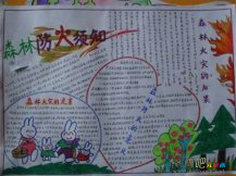 消防安全手抄报：什么是泡沫灭火器
