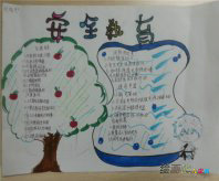 安全教育手抄报：校园安全教育作文