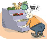 食品安全手抄报：热水涮不去的油脂不要吃